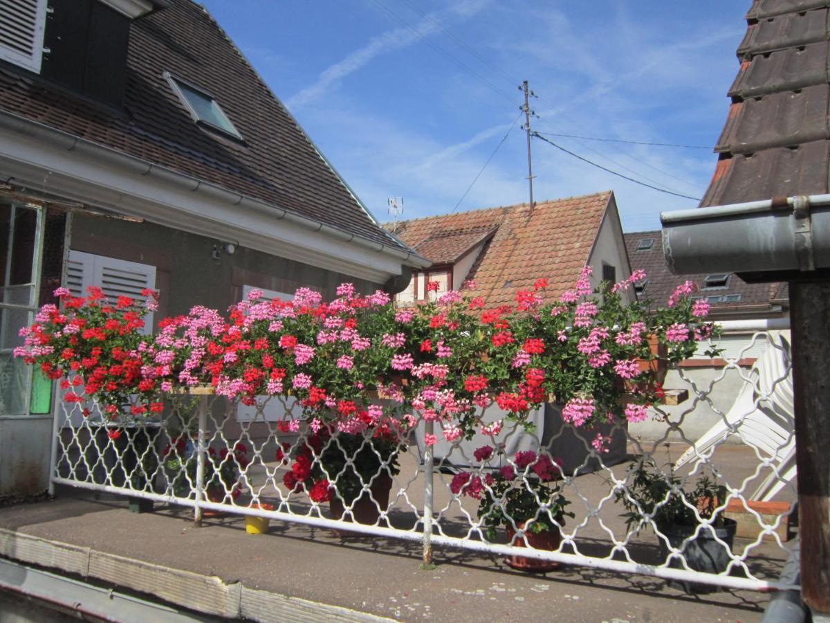 Gite Faubourg Des Pierres Sigolsheim Exterior photo